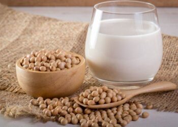 Vụ Thu Hoạch Đậu Nành Bắt Đầu Ở Bang Roraima Cực Bắc Của Brazil