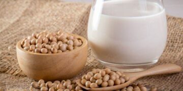 Vụ Thu Hoạch Đậu Nành Bắt Đầu Ở Bang Roraima Cực Bắc Của Brazil