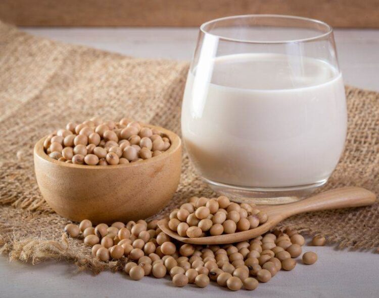 Vụ Thu Hoạch Đậu Nành Bắt Đầu Ở Bang Roraima Cực Bắc Của Brazil