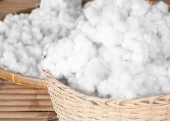 Giá Bông Giảm Do Lạc Quan Về Năng Suất Của Mỹ