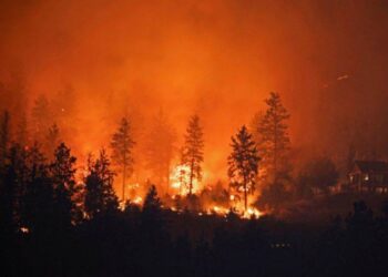 Các Đám Cháy Rừng Ở Canada Lan Rộng, Buộc Phải Cảnh Báo Sơ Tán, Lo Ngại Về Sản Xuất Dầu