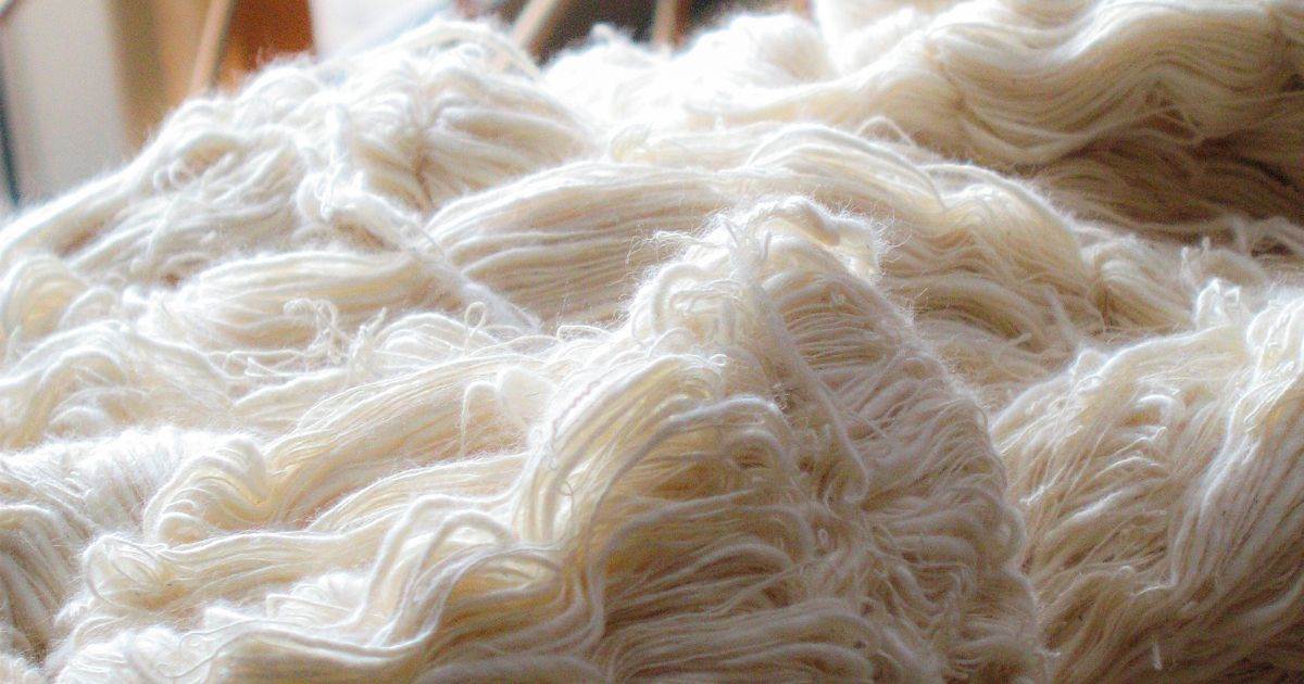 Olam Nâng Giá Đấu Thầu Namoi Cotton Lên 75 Cent