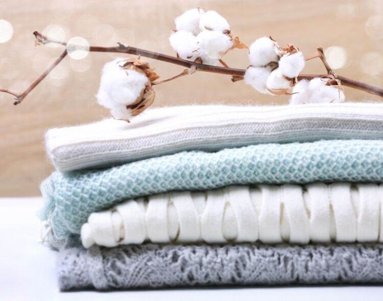 Bông Phục Hồi Với Thời Tiết Khô Hơn