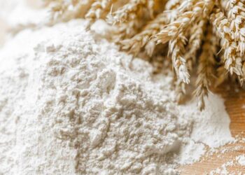 Lúa Mì Khởi Đầu Tuần Với Đà Tăng Ngày Mới