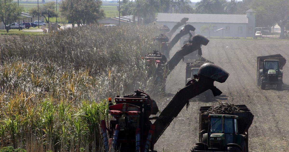 Giá đường tăng do lo ngại về sản xuất ở Brazil