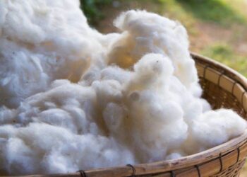 Cotton Tăng Giá Ở Các Hợp Đồng Ngắn Hạn