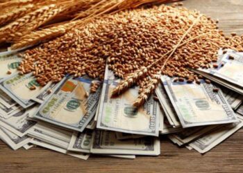 Triển Vọng Cung Ứng Toàn Cầu Mở Rộng Giúp Đẩy Giá Lúa Mì Xuống Thấp Hơn