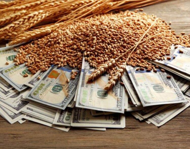 Triển Vọng Cung Ứng Toàn Cầu Mở Rộng Giúp Đẩy Giá Lúa Mì Xuống Thấp Hơn