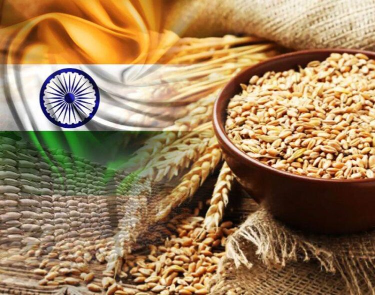 Ấn Độ: Có Khả Năng Sẽ Bắt Đầu Bán Lúa Mì Trên Thị Trường Mở Vào Tháng Tới