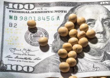 Vụ Thu Hoạch Đậu Nành Lớn Của Hoa Kỳ Gây Áp Lực Lên Giá Cải Dầu