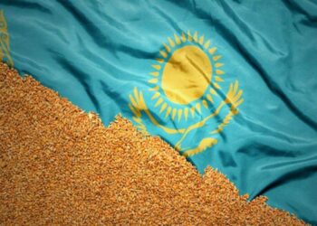 Kazakhstan Cấm Nhập Khẩu Lúa Mì Để Bảo Vệ Thị Trường Trong Nước