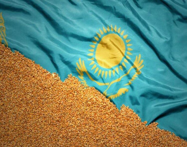Kazakhstan Cấm Nhập Khẩu Lúa Mì Để Bảo Vệ Thị Trường Trong Nước