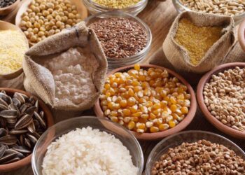 Ngũ Cốc Bắt Đầu Ngày Mới Trong Màu Đỏ. Thứ Năm, Ngày 22 Tháng 8 Năm 2024