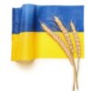 Góc Các Nhà Phân Tích: Giá Lúa Mỳ Ukraine Sẽ Tăng Do Sản Lượng Ngũ Cốc Toàn Cầu Suy Giảm