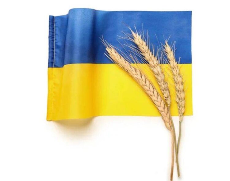 Góc Các Nhà Phân Tích: Giá Lúa Mỳ Ukraine Sẽ Tăng Do Sản Lượng Ngũ Cốc Toàn Cầu Suy Giảm