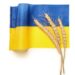 Góc Các Nhà Phân Tích: Giá Lúa Mỳ Ukraine Sẽ Tăng Do Sản Lượng Ngũ Cốc Toàn Cầu Suy Giảm