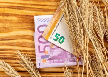 Lúa Mì Tăng Mức Khiêm Tốn Vào Thứ Năm