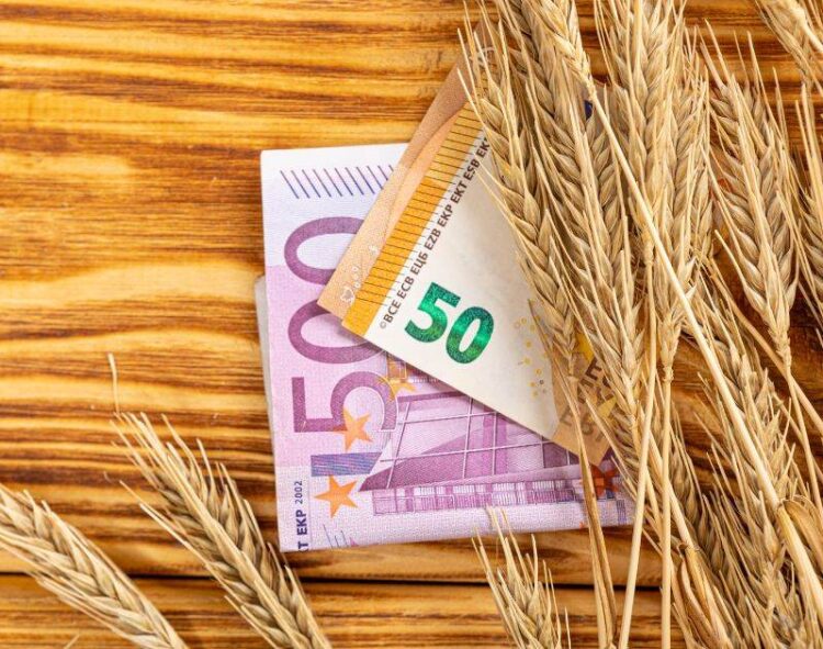 Lúa Mì Tăng Mức Khiêm Tốn Vào Thứ Năm