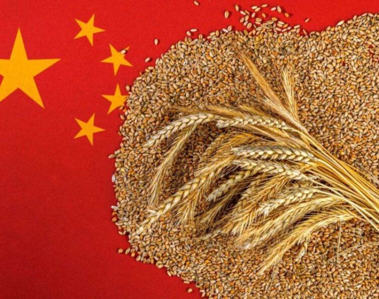 Trung Quốc Dự Trữ Thêm Lúa Mì Do Mưa Lớn Ảnh Hưởng Đến Doanh Số Bán Hàng Địa Phương