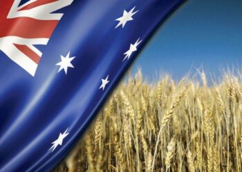 Úc Xuất Khẩu 1,26 Triệu Tấn Lúa Mì Vào Tháng 6, Giảm 21% So Với Tháng 5