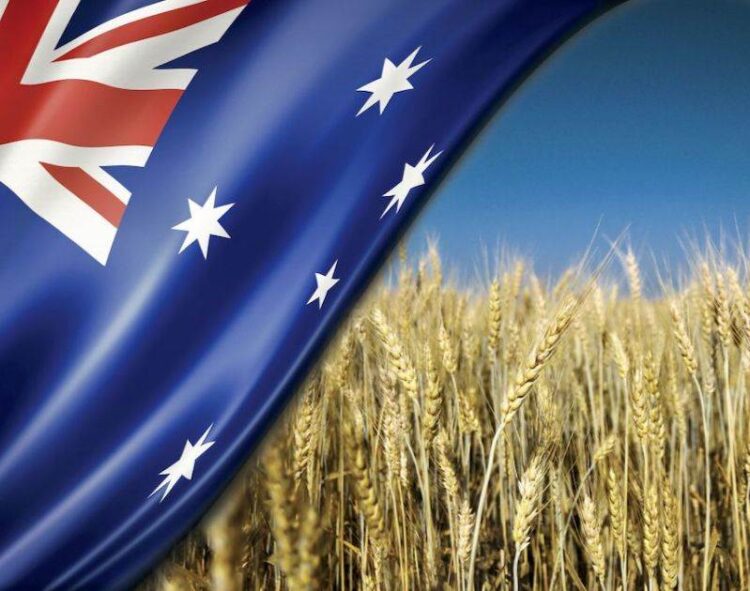 Úc Xuất Khẩu 1,26 Triệu Tấn Lúa Mì Vào Tháng 6, Giảm 21% So Với Tháng 5