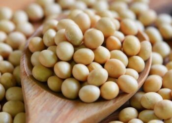 Đậu Nành Giảm 14 Xu. Thứ Ba, Ngày 6 Tháng 8 Năm 2024