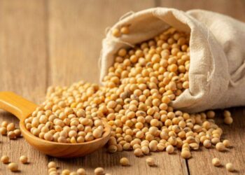 Thời Tiết Thuận Lợi Của Hoa Kỳ Khiến Giá Đậu Nành Giảm Ở Chicago Vào Tháng 7; Giá Ở Brazil Cũng Giảm