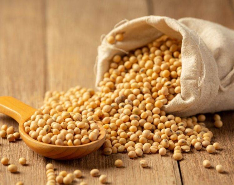 Thời Tiết Thuận Lợi Của Hoa Kỳ Khiến Giá Đậu Nành Giảm Ở Chicago Vào Tháng 7; Giá Ở Brazil Cũng Giảm