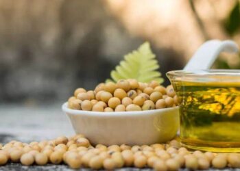 Hoa kỳ. Tại sao giá đậu nành đang chạm đáy