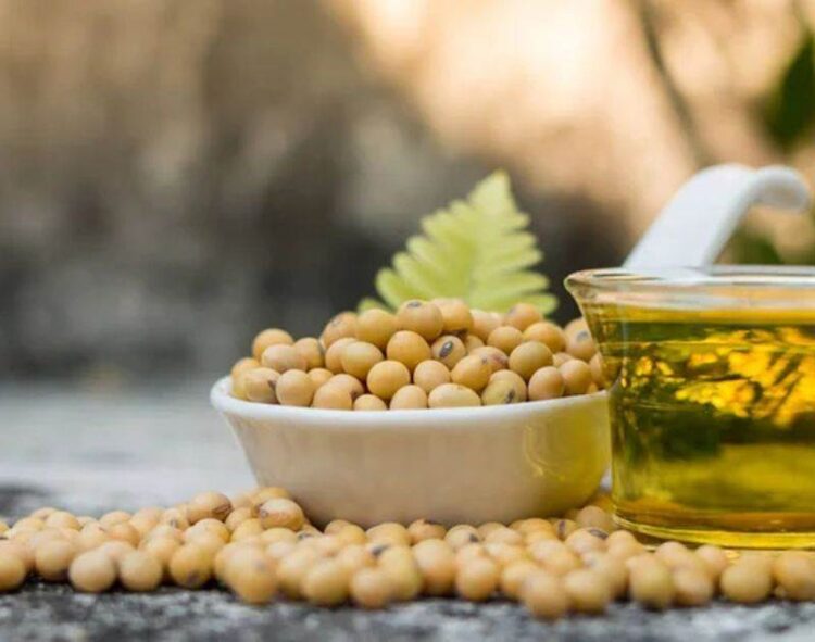 Hoa kỳ. Tại sao giá đậu nành đang chạm đáy