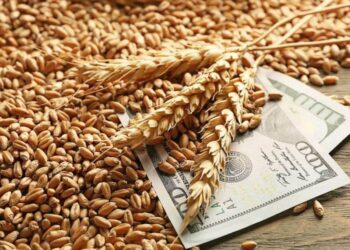 Giá Lúa Mì Giảm Khuyến Khích Người Tiêu Dùng Châu Á Mua