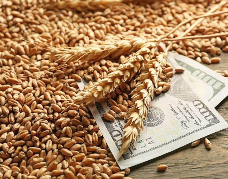 Giá Lúa Mì Giảm Khuyến Khích Người Tiêu Dùng Châu Á Mua