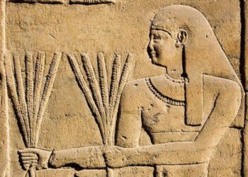 Ai Cập Sẽ Mua Hết Nguồn Cung Lúa Mì Khi Giá Toàn Cầu Giảm Mạnh