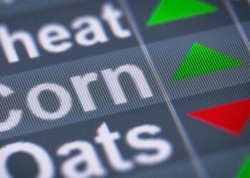 Đậu Nành Giảm 1%, Ngô Chạm Mức Thấp Nhất Trong Bốn Năm Qua Do Dự Báo Vụ Mùa Bội Thu Tại Hoa Kỳ