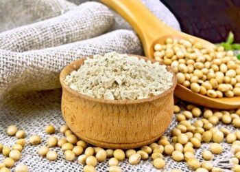 Anec Ước Tính Xuất Khẩu Bột Đậu Nành Của Brazil Đạt 1,96 Triệu Tấn Vào Tháng 8