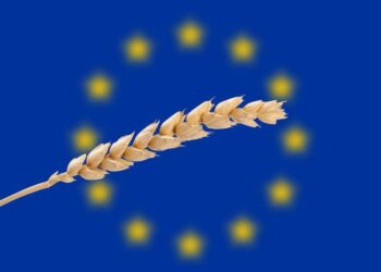 Eu Chứng Kiến Vụ Mùa Lúa Mì Nhỏ Nhất Kể Từ Năm 2018 – Ahdb