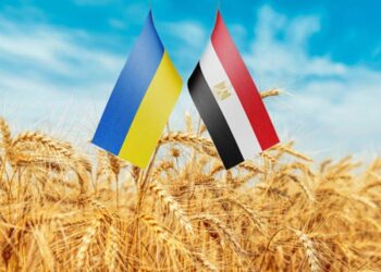 Lúa Mì Ukraine Được Chào Bán Thấp Nhất Ở Mức 244 Đô La Một Tấn Tại Phiên Đấu Thầu Lớn Của Ai Cập