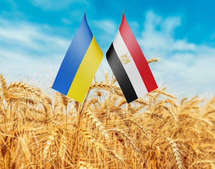 Lúa Mì Ukraine Được Chào Bán Thấp Nhất Ở Mức 244 Đô La Một Tấn Tại Phiên Đấu Thầu Lớn Của Ai Cập