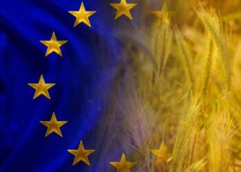 Thu Hoạch Lúa Mì Của Eu Có Thể Thấp Nhất Trong Sáu Năm