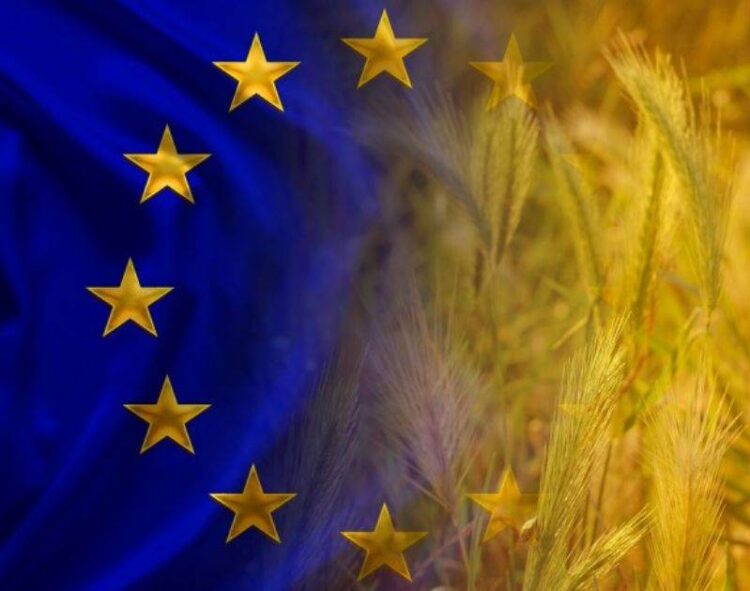 Thu Hoạch Lúa Mì Của Eu Có Thể Thấp Nhất Trong Sáu Năm