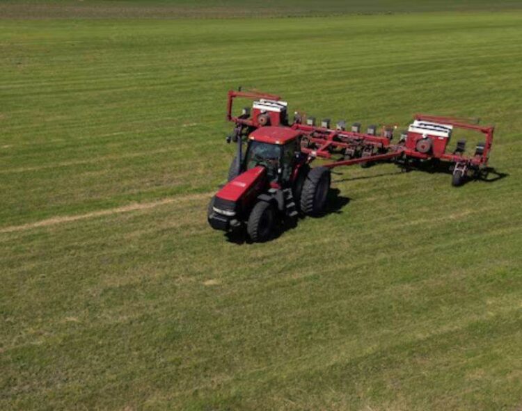 Đậu Nành Chicago Có Thể Đã Tìm Thấy Giá Trị Thị Trường Hợp Lý Nếu Có Thể Tin Tưởng Vào Nhu Cầu