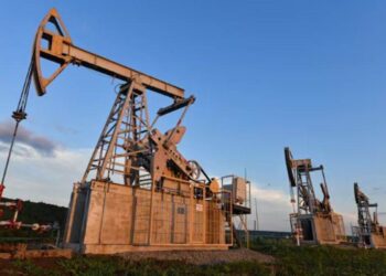 Giá Dầu Sẽ Kết Thúc Tuần Cao Hơn Nhờ Sự Lạc Quan Về Nhu Cầu Của Hoa Kỳ