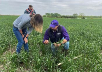 Năng Suất Ngô, Đậu Nành Khổng Lồ Của Hoa Kỳ Sẽ Được Thử Nghiệm Bằng Chuyến Tham Quan Vụ Mùa Hàng Năm