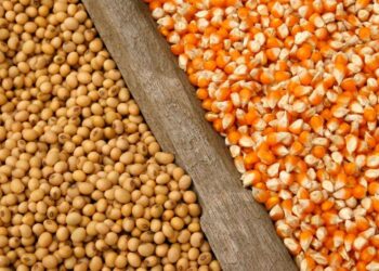 Nông Dân Bán Hàng Ở Brazil Chậm Hơn Mức Trung Bình