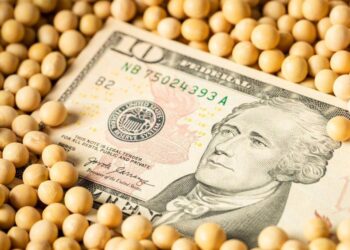 Đậu Nành Tăng 11 Xu