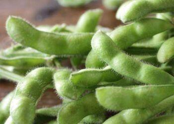 Đậu Nành Tăng Nhẹ Vào Sáng Nay