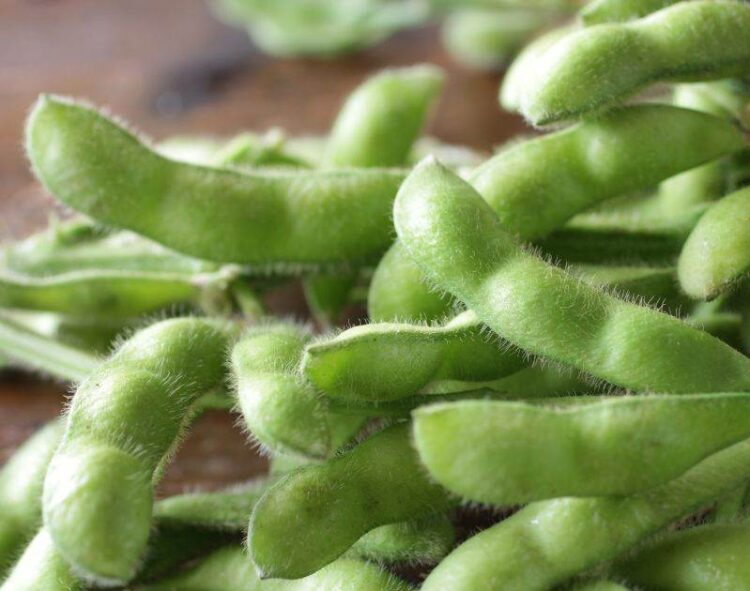 Đậu Nành Tăng Nhẹ Vào Sáng Nay