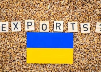 Sản Lượng Ngũ Cốc, Xuất Khẩu Của Ukraine Cho Thấy Sức Mạnh