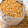 Canada giảm mạnh nhập khẩu ngô từ Hoa Kỳ 