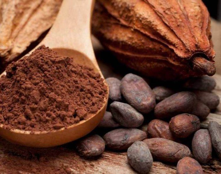 Giá Cacao Tăng Do Lo Ngại Về Nguồn Cung Toàn Cầu